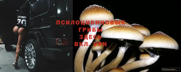 соль курить ск Алзамай
