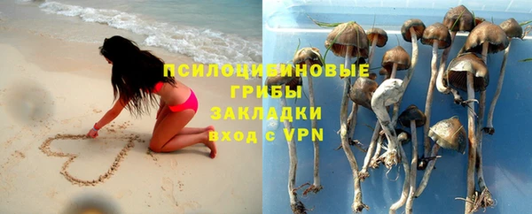 СК Алексеевка
