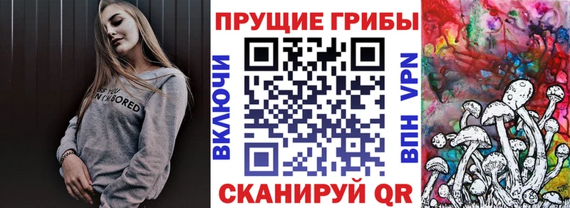 площадка формула  ОМГ ОМГ зеркало  Таруса  Галлюциногенные грибы GOLDEN TEACHER 